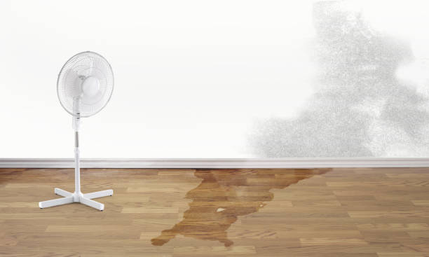 Best 24/7 water damage repair  in Humansville, MO