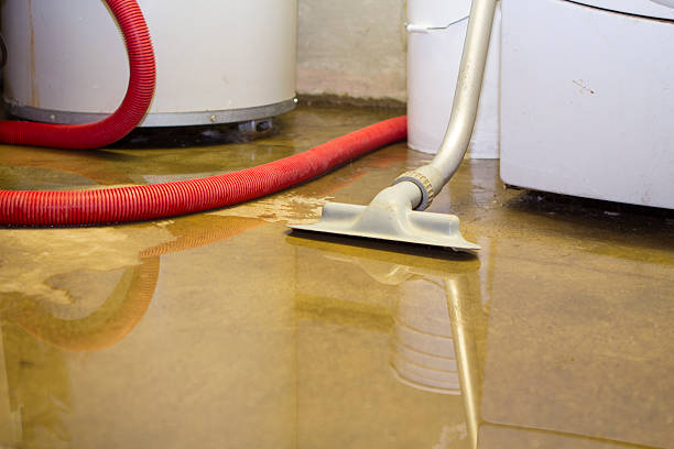 Best Fire Damage Restoration  in Humansville, MO