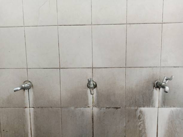 Best Emergency water damage restoration  in Humansville, MO