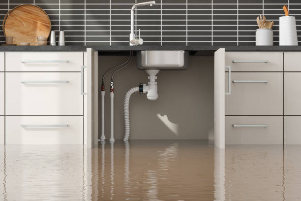 Best Water damage restoration near me  in Humansville, MO