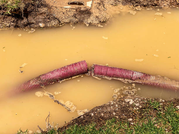 Best Residential water damage restoration  in Humansville, MO